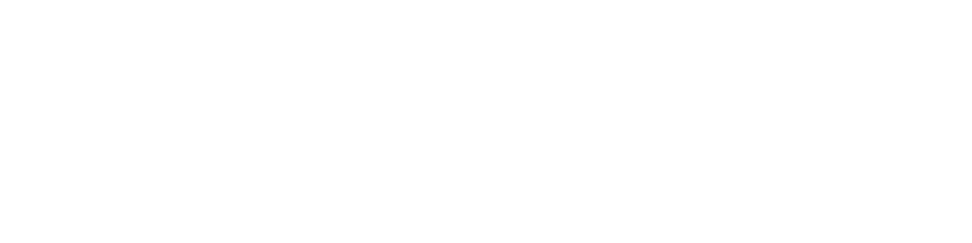 MyWiki Logo